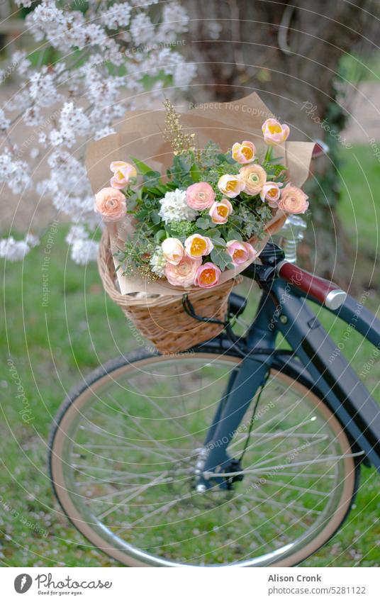 Fahrrad mit Vintage-Fahrradkorb gefüllt mit Blumen unter einem Kirschbaum Fahrradkörbe rosa Blumen Orangenblüten Korb Vintage-Korb Fahrrad-Rad Blumenstrauß
