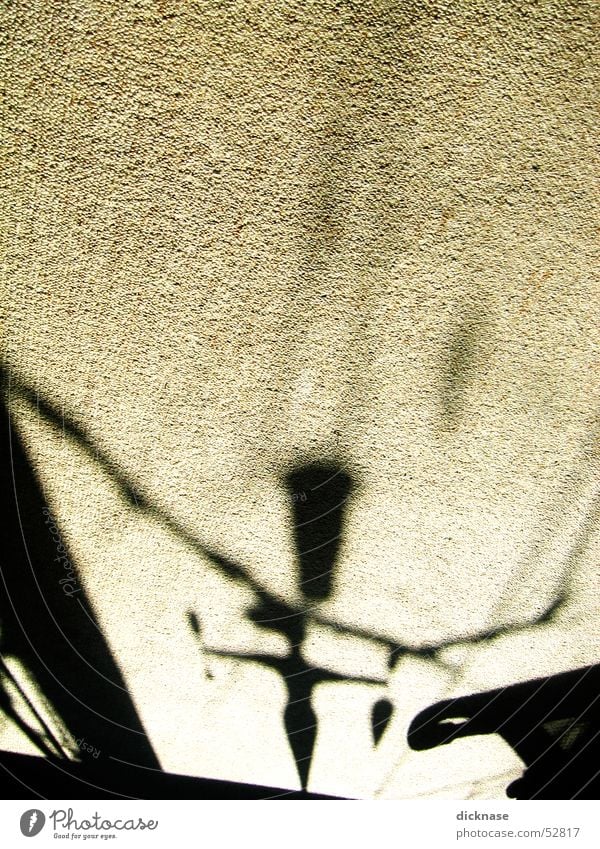 Mittagsschattenteppich Teppich Schatten
