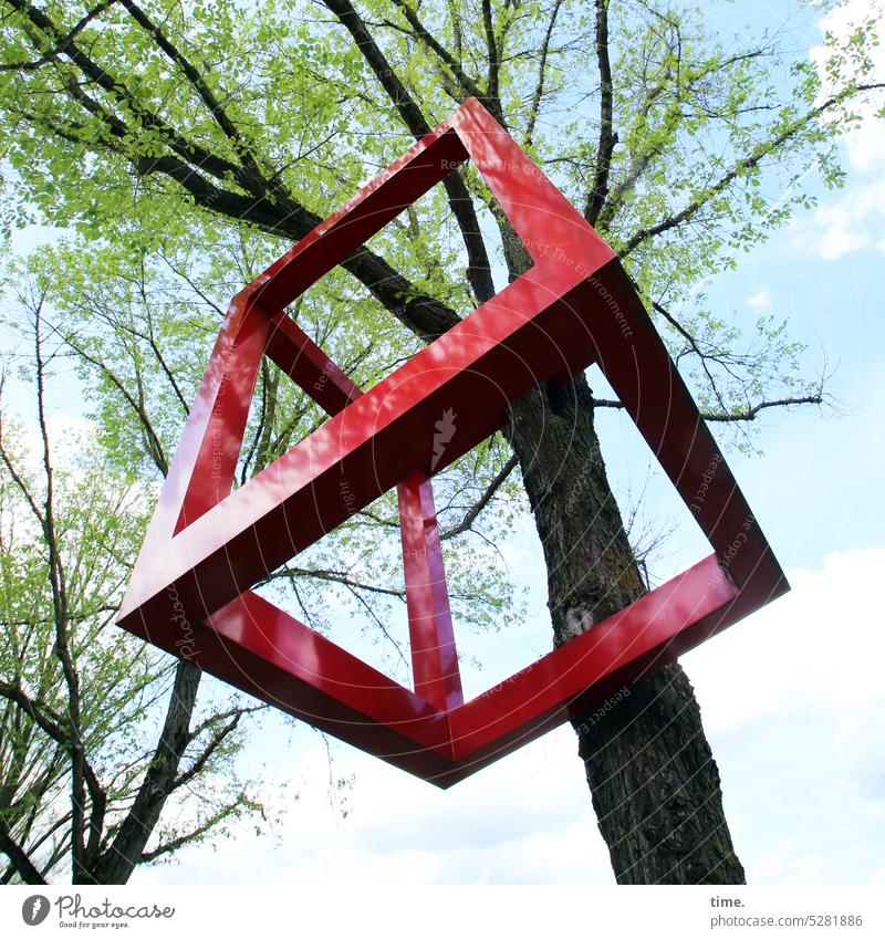 MainFux | Das Ding im Baum Kunst Würfel Stahl Metall hängen Frühling Wolken Himmel Froschperspektive