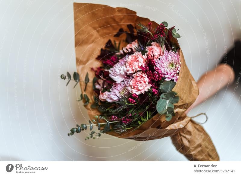 Eine Hand mit einem Blumenstrauß in Rosa- und Kastanienbrauntönen, eingewickelt in braunes Papier. Silberner Eukalyptus, Chrysantheme, Nelke, Pfingstrose und blauer Köder. Blumen schenken Konzept