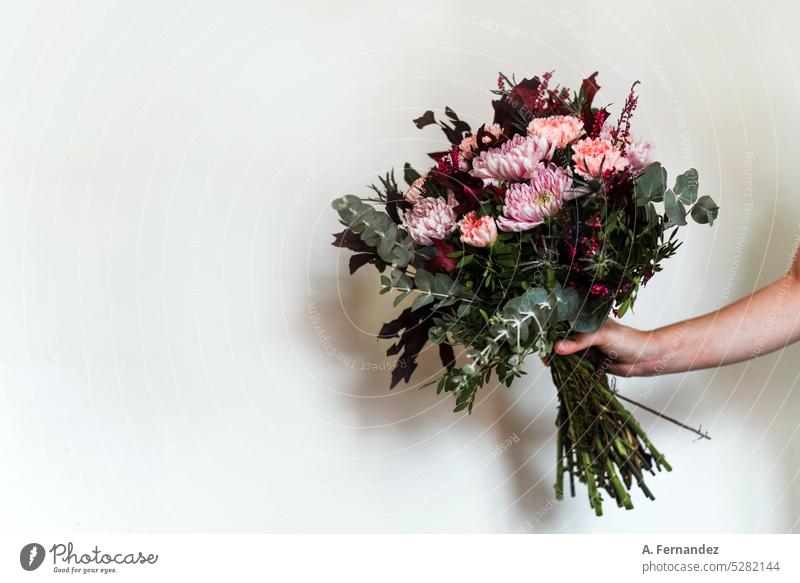 Eine Hand mit einem Blumenstrauß in rosa und weinroten Tönen. Silberner Eukalyptus, Chrysantheme, Nelke, Pfingstrose und blauer Köder. Konzept des Schenkens von Blumen. Besondere Anlässe