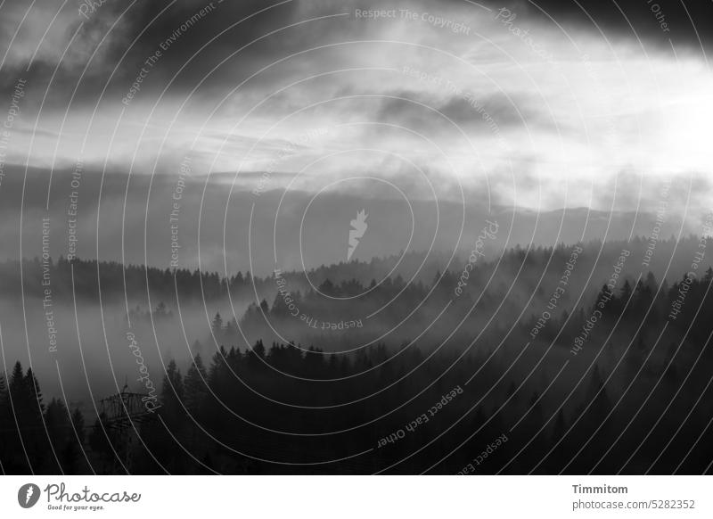 Nebelmorgen im Schwarzwald Morgen morgens früh Nebelschwaden Wolken Licht hell und dunkel Hügel Wald Bäume Natur Himmel Menschenleer Schwarzweißfoto Landschaft