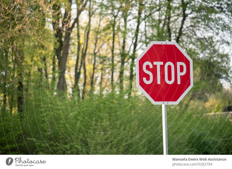 Ein rotes Stop-Schild vor einem kleinen Waldstück stop stopschild natur umwelt grün kontrast komplementär halt aufhalten widerstand zerstörung verkehrsschild