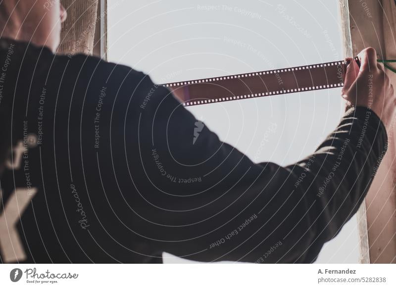 Eine Frau hält einen Streifen analoger 35-mm-Filmnegative im Gegenlicht eines Fensters. Analoge Fotografie 35mm Filmfotografie Analogfilm Filmmaterial