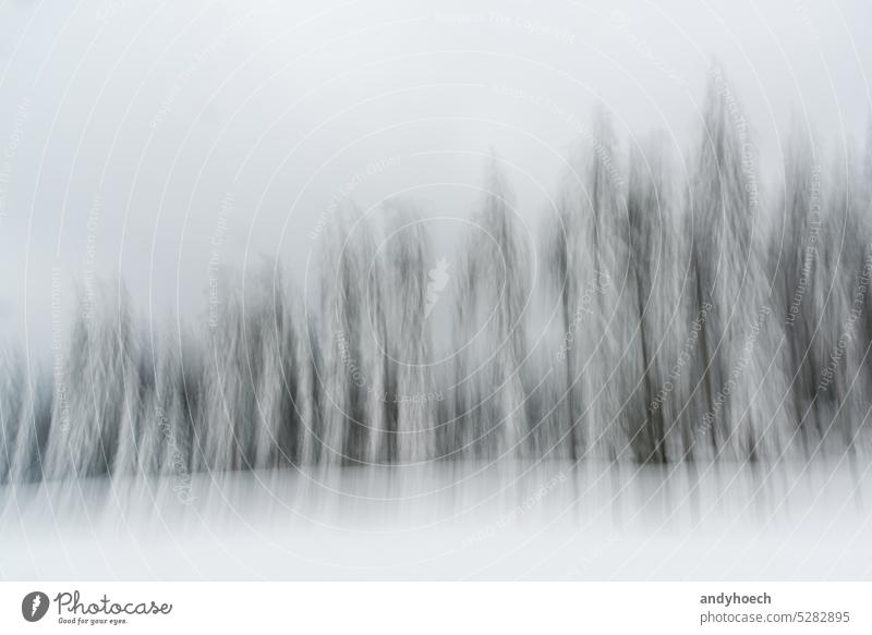 Eine Reihe von verschneiten Nadelbäumen in einer Winterlandschaft in Bewegungsunschärfe abstrakt schön Schönheit schwarz schwarz auf weiß Schneesturm Unschärfe