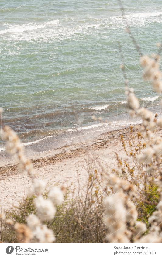 Natur Strand Stranddüne Meer Meereslandschaft Ostsee Wasser Urlaub Sommer Frühling Sandstrand Wellen Wellengang Pflanze Bäume Sonnenlicht Sonnenstrahlen weiß