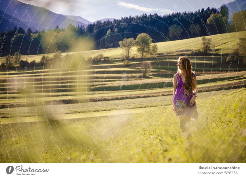 märchenhaft. feminin Junge Frau Jugendliche Erwachsene Wiese Feld Wald schön Farbfoto