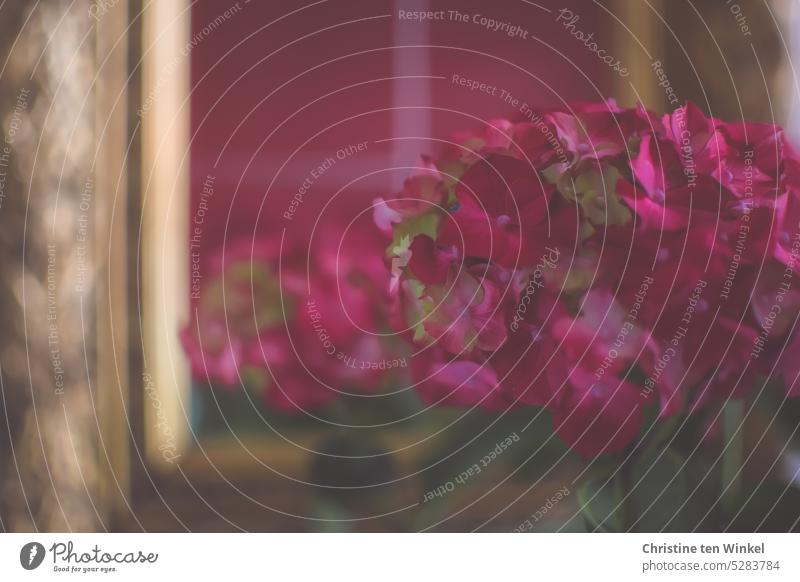 Eine rote Hortensienblüte und ihr Spiegelbild Blüte Nahaufnahme Spiegelung Goldrahmen Detailaufnahme Schwache Tiefenschärfe Innenaufnahme schön romantisch