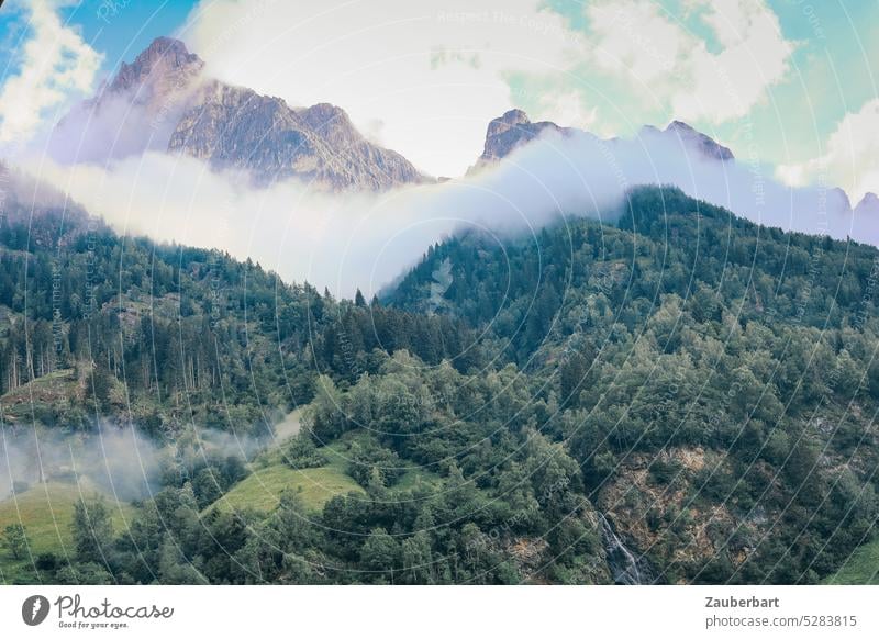 Ein Wolkenband zieht sich über den Wald vor Felsgipfeln in Südtirol Berg Gipfel Himmel wandern Wanderlust Natur Berge u. Gebirge Landschaft Alpen Umwelt
