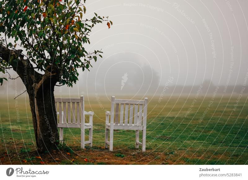 Zwei weiße Gartenstühle unter einem Baum auf grüner Wiese mit Blick in den Morgennebel Gartenstuhl Zweisamkeit Paar Holz Holzstuhl romantisch Nebel Erinnerung