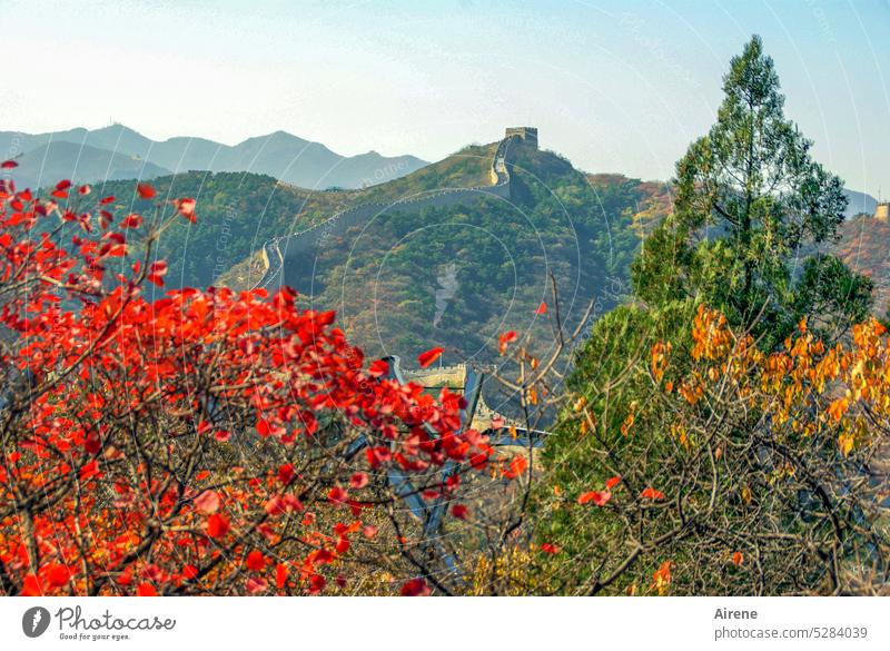 Chinafarben Chinesische Mauer Berg rot gelb grün Farbe Herbstlaub Pflanzen Strauch Hügel Gipfel Grenzwall Steinmauer Wege & Pfade steil historisch Bauwerk