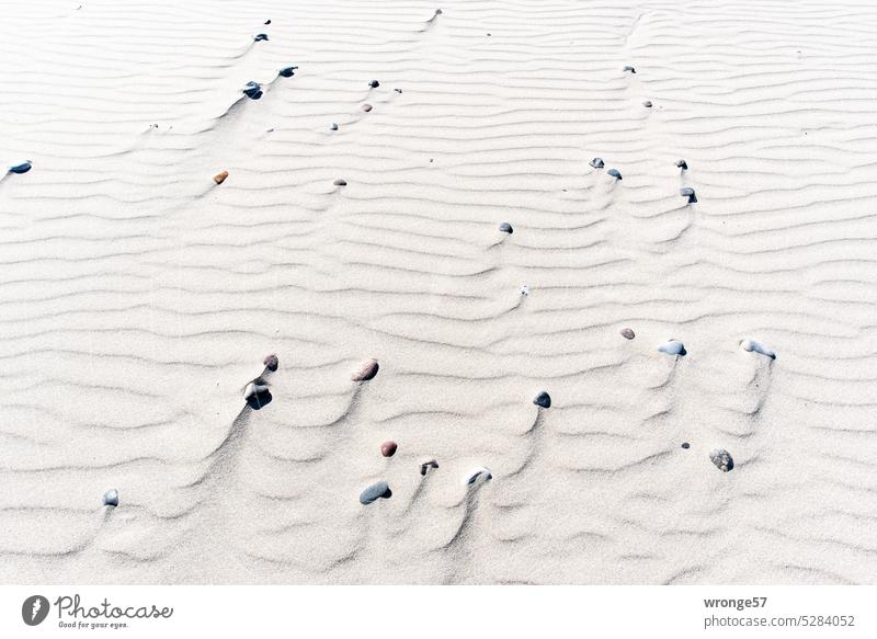Viele kleine Steine liegen auf einem Sandstrand voller Rippelmarken Ostsee Strand Ostseestrand Ostseeküste Küste Natur Meer Ferien & Urlaub & Reisen Windrippel