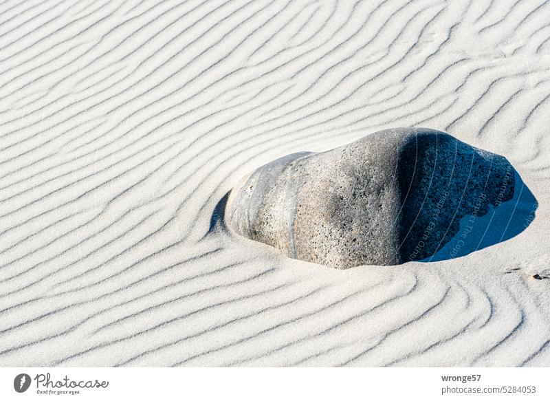 Ein großer Stein liegt auf einem Sandstrand voller Rippelmarken Ostsee Steine Strand Ostseestrand Ostseeküste Küste Natur Meer Ferien & Urlaub & Reisen