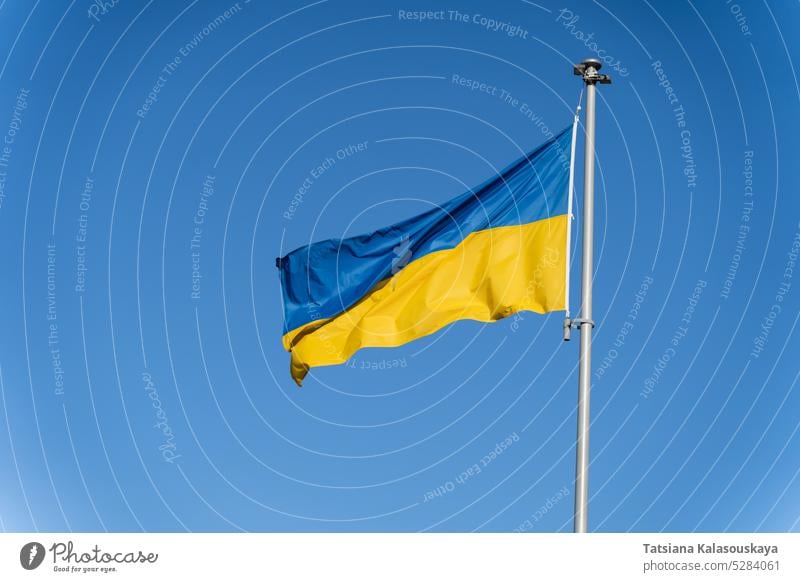 Blau-gelbe ukrainische Flagge weht vor dem Hintergrund des klaren blauen Himmels Fahne Ukraine Ukrainer Land Symbol Zeichen Europa Wind winken Mast national
