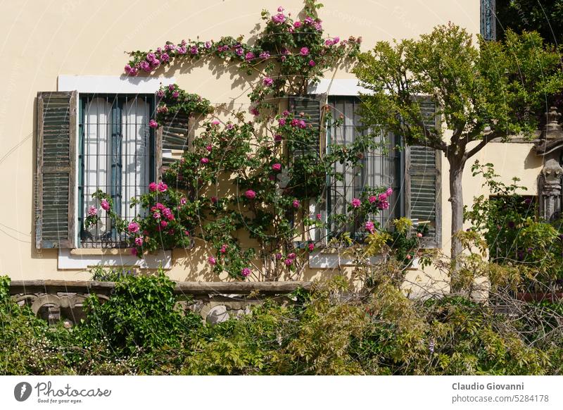 Historisches Haus am Martesana-Kanal in Mailand Europa Italien Lombardei Architektur Gebäude Großstadt Farbe Tag Außenseite Blume Garten historisch alt