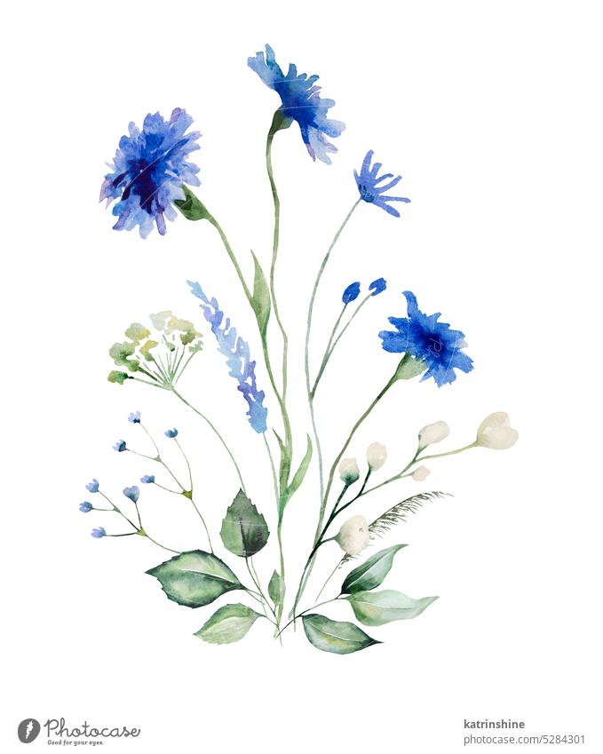 Aquarell blauen Kornblumen und Wildblumen Bouquet, Sommer Hochzeit isoliert Illustration botanisch Centaurea zyanus farbenfroh Dekoration & Verzierung Zeichnung