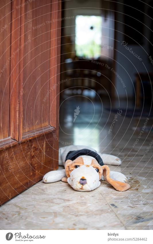 Wachhund vor offener Haustüre Hauseingang Eingangstür Diele Flur Hund Stoffhund Häusliches Leben schwache Tiefenschärfe Kälteschutz Holztüre geöffnet