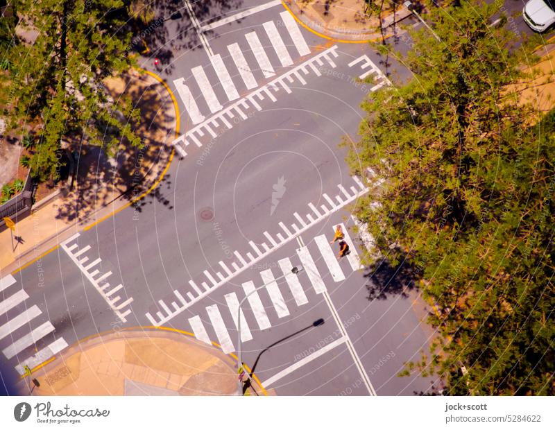 Fußgänger auf dem Zebrastreifen haben absoluten Vorrang Straße Verkehrswege Fußgängerübergang Auto Vogelperspektive Fahrbahnmarkierung Australien Queensland