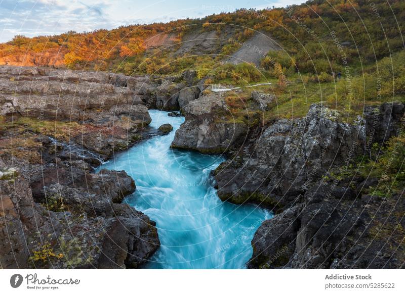 Fluss, der durch felsige Berge fließt Landschaft Klippe Herbst Berge u. Gebirge fließen strömen Natur Baum Wasserfall fallen malerisch Umwelt reißend Island