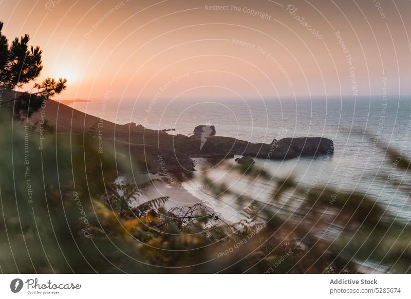 Malerische Kulisse eines grasbewachsenen Hügels in der Nähe des plätschernden Meeres Meereslandschaft Landschaft MEER Küste Natur Sonnenuntergang Meeresufer