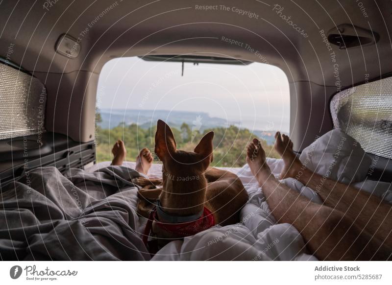 Crop-Paar auf Matratze liegend im Auto mit Hund ruhen sich[Akk] entspannen Kälte Haustier Reisender PKW Sonnenuntergang Ansicht Zusammensein Lügen Freund