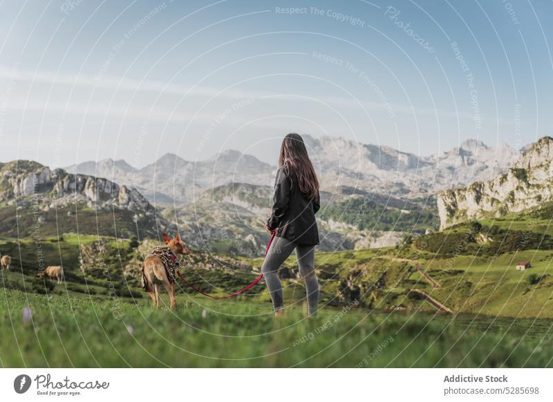 Unbekannte Frau geht mit Hund in den Bergen spazieren Besitzer Reisender Hochland Hügel Kamm Berge u. Gebirge Spaziergang Haustier Natur Abenteuer majestätisch