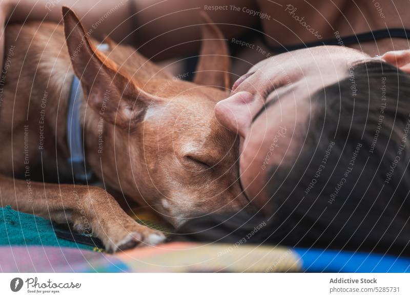 Junge hispanische Frau mit Hund schläft auf einer Decke auf dem Rasen schlafen Picknick Zusammensein Besitzer podenco andaluz Freund Augen geschlossen