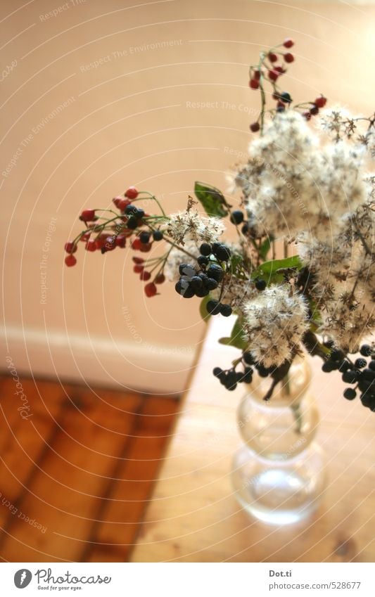 schon wieder Herbst Häusliches Leben Wohnung Tisch Pflanze Dekoration & Verzierung Holz Stimmung Beeren Zweige u. Äste Hagebutten Vase Wildpflanze herbstlich