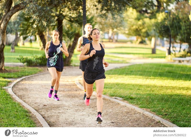 Menschen joggen im Sommer Park Sportlerin laufen Training Herz Weg Menschengruppe Fitness Energie Motivation Frau physisch Sportkleidung Bewegung Vitalität