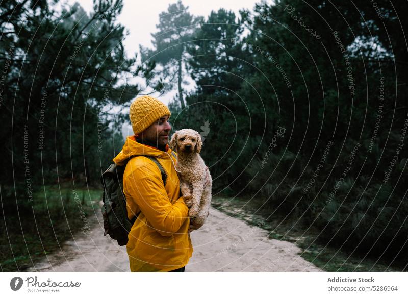 Rucksacktourist hält Welpe im Herbstwald Mann Besitzer Hund Haustier Glück Wald Zuneigung Lächeln Bonden Begleiter Wälder männlich Waldgebiet bedeckt Freude