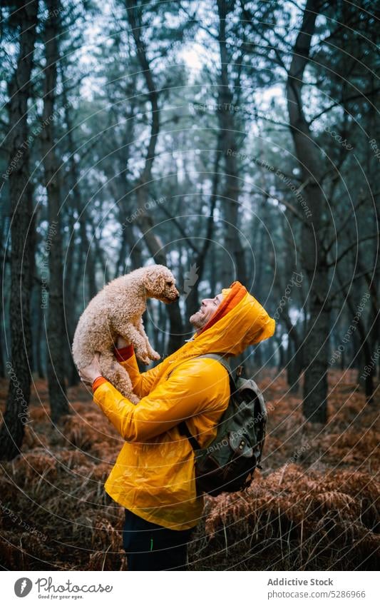 Rucksacktourist hält Welpe im Herbstwald Mann Besitzer Hund Haustier Glück Wald Zuneigung Lächeln Bonden Begleiter Wälder männlich Waldgebiet bedeckt Freude