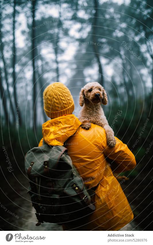Besitzerin hält kleinen Hund im Wald im Herbst Tourist Welpe Weg Baum Wälder Haustier Waldgebiet erkunden bedeckt Fußweg Wetter Landschaft Straße Holz