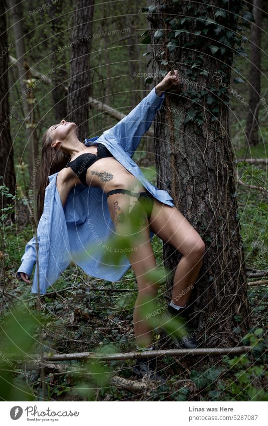 Ein wunderschönes Dessous-Modell in schwarzer Unterwäsche tanzt um einen Baum herum. Diese Wälder sind bequem für ein hübsches Mädchen mit Tinte. Das Gefühl von Freiheit und Freude liegt in der Luft.
