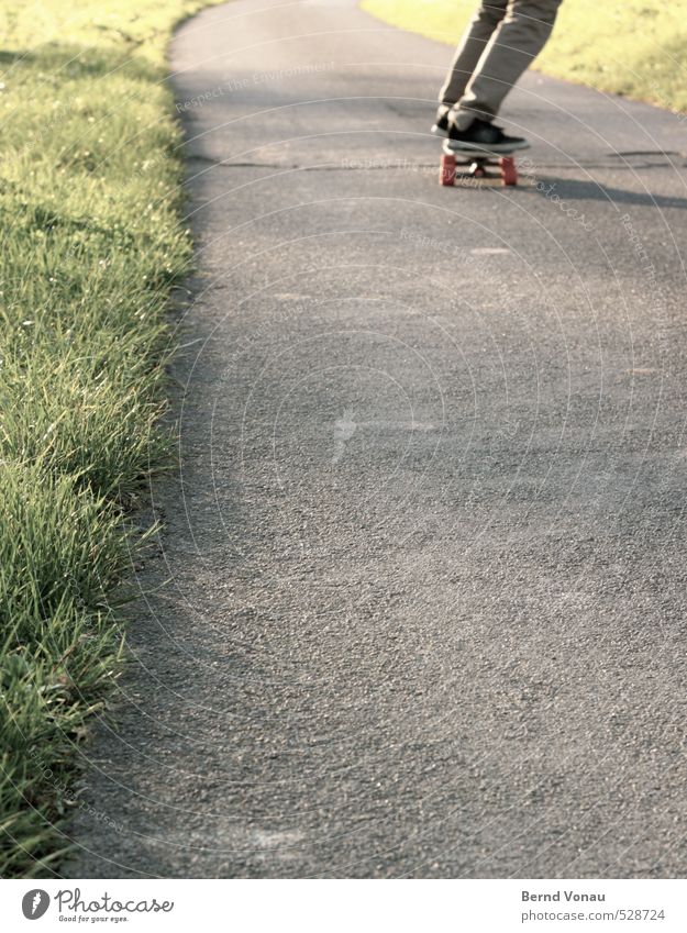 sk8 maskulin Junger Mann Jugendliche 1 Mensch 13-18 Jahre Kind Wege & Pfade Skateboard Skateboarding Schuhe Beine rollen Bewegung Gras grün grau Asphalt Schwung