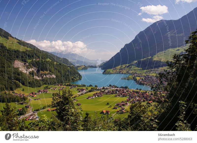 Aussichtspunkt Chälrütirank bei Lungern in der Schweiz Panorama (Aussicht) Berge u. Gebirge See Außenaufnahme Ferne Ausblick Natur grün Landschaft stimmungsvoll