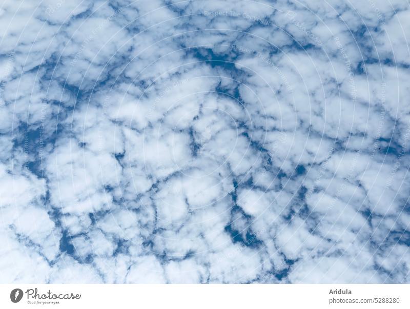 Blauer Himmel mit Wattewolken blau Wolken weiß Wolkenhimmel zerissene Wolken Wattewölkchen