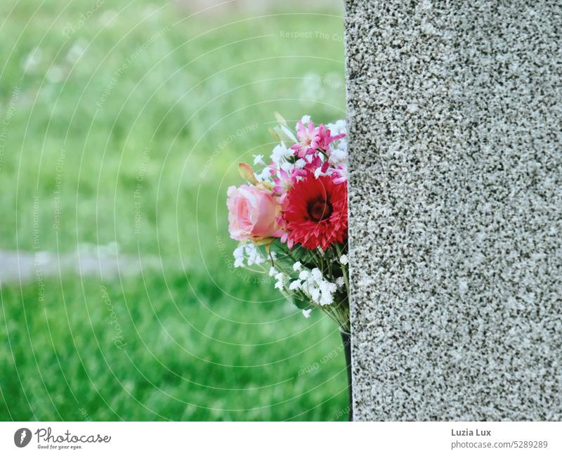 Frühling auf dem Friedhof, ein frischer Blumenstrauß schaut hinter einem Grabstein hervor Tod Vergänglichkeit grün Blumenschmuck grau rosa Frühlingsblumen