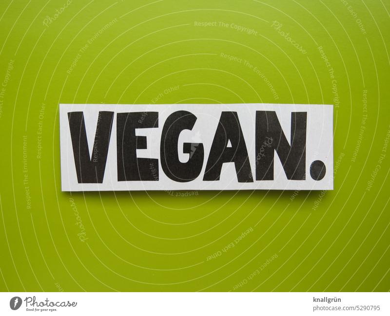 Vegan. Vegane Ernährung Vegetarische Ernährung Lebensmittel Gesunde Ernährung Bioprodukte Gesundheit Gemüse lecker grün organisch Nahaufnahme trendy tierwohl