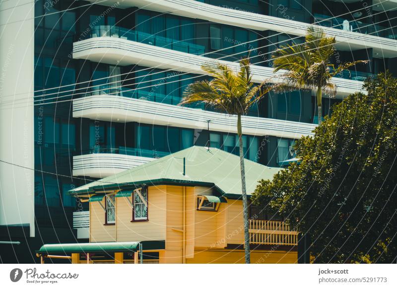 Entwicklung der Architektur im Wandel der Zeit Neubau Altbau Fassade Wandel & Veränderung Baustil Palme Wohnhochhaus Stil modern authentisch Australien