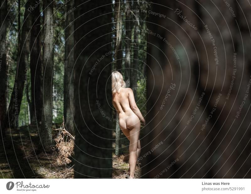 Es ist eine heiße Sommerzeit im Freien. Wilde Wälder und ein wunderschönes nacktes wildes Mädchen in diesem Wald. Ein Stalker beobachtet ihren sexy Rücken, ihre perfekten Kurven und ihre entspannte Pose aus der Ferne. Nun, oder es sieht nur so aus.