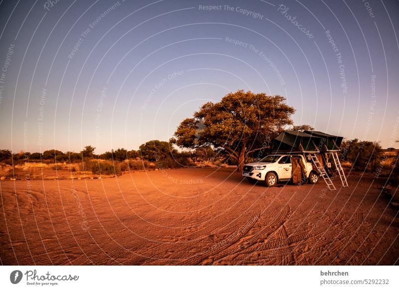 fernweh Himmel Umwelt Wärme traumhaft besonders beeindruckend magisch Abenteuer Einsamkeit Natur Ferien & Urlaub & Reisen Landschaft Afrika Namibia Ferne