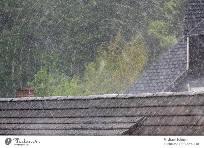 Prasselregen prasselnder Regen Wolkenbruch nass Wasser Wassertropfen feucht Wetter Regentropfen schlechtes Wetter Regenwetter Menschenleer nass werden dächer