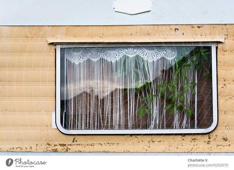 Mainfux | Heimeliges Wohnwagenfenster Fenster Gardine Camping retro Häusliches Leben alt Pflanze hinter der Scheibe Lifestyle Wohnmobil Einblick heimelig