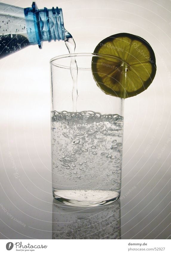 Zitronenwasser II trinken Mineralwasser rund weiß Wasser Glas gießen füllen Natur silber Flasche Hals Flüssigkeit