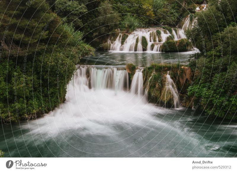 Alles fließt... Sommerurlaub Strand Schönes Wetter Wärme Wasserfall heiß Kroatien Romantik fließen Fluss grün Dalmatien Nationalpark krka Baum Seeufer Farbfoto