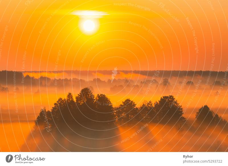 Amazing Sonnenaufgang Sonnenuntergang über neblige Landschaft. Scenic View Of Foggy Morning Sky With Rising Sun Above Misty Forest And River. Frühsommer Natur Osteuropas