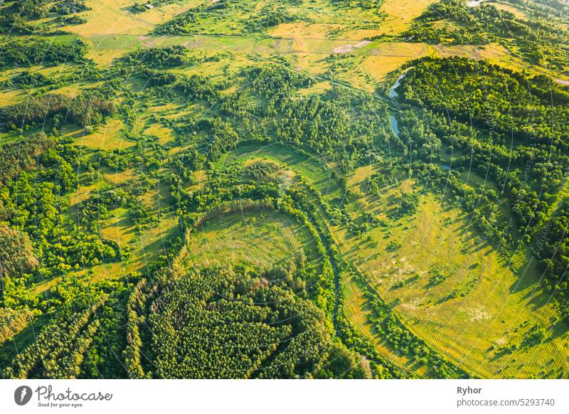 Luftaufnahme Grüner Wald Abholzung Bereich Landschaft. Top View of New Growing Forest. European Nature From High Attitude In Summer Season. Drone Ansicht. Vogelperspektive Ansicht