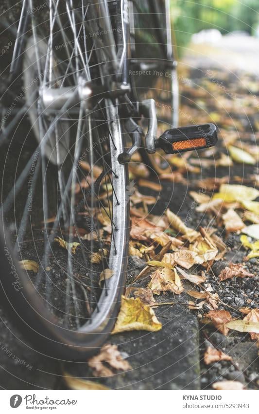 Stadtradeln im Herbst altehrwürdig Grunge verwittert Italienisch Nostalgie Fotografie dunkel getönt Biker abschließen traditionell Sattel Wand Stil Makro Bokeh
