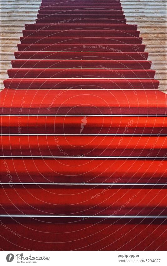 Roter Teppich rot Treppe Veranstaltung Farbfoto Menschenleer Empfang Reichtum Erfolg Zentralperspektive Feste & Feiern Lifestyle Show elegant stufen Treppenhaus