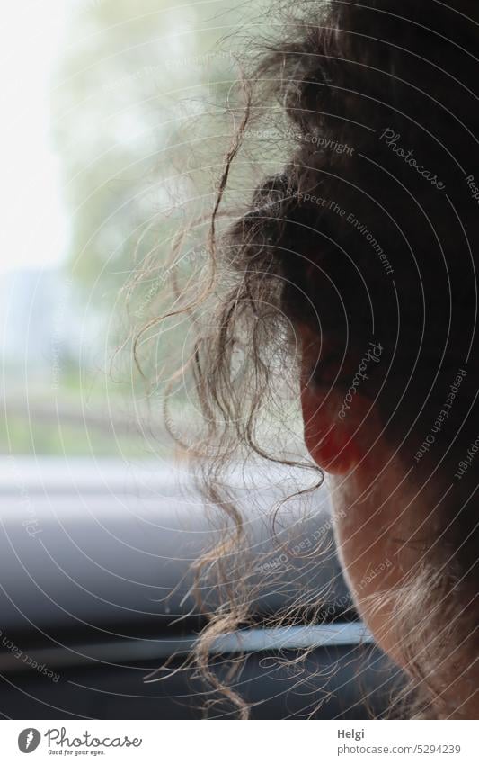 Mainfux-UT | Löckchen Kopf Locken Frisur Frau Rückansicht Auto gelockt Nahaufnahme Detailaufnahme Haare & Frisuren Mensch feminin Farbfoto Innenaufnahme